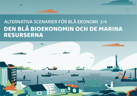 Alternativa scenarier för blå bioekonomi och marina resursserna på Finska viken och Skärgårdshavet (infograaf)